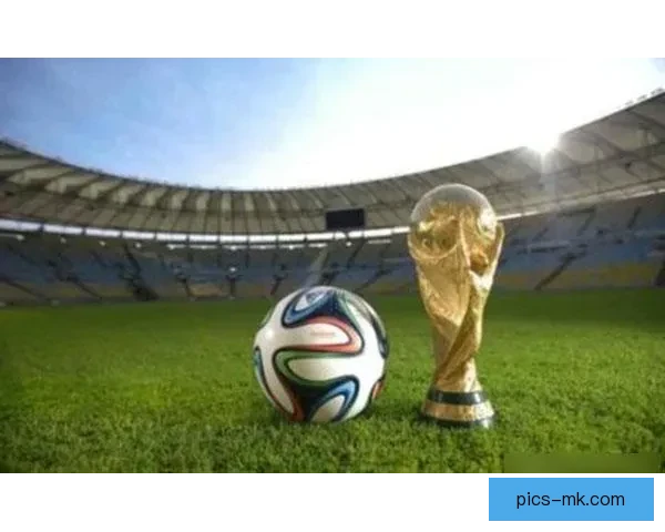 2026世界杯官方指定供应商推出赛事餐饮数字化创新方案提升观赛体验