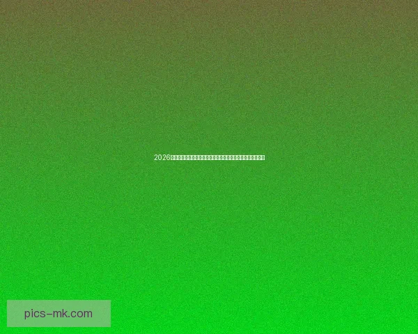 2026世界杯北美区预选赛美国队轮空并参与邀请赛的最新动态分析